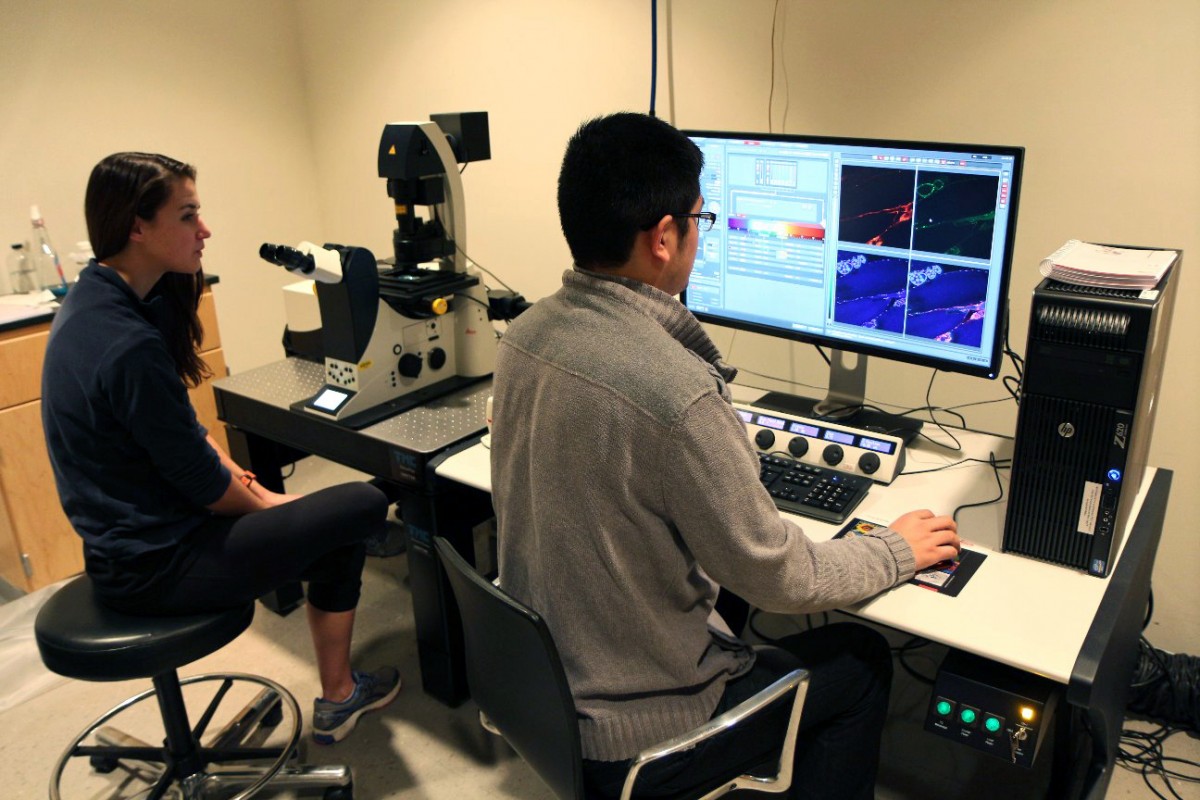 Leica SP8 Spectral Confocal Advanced Light Microscopy Facility